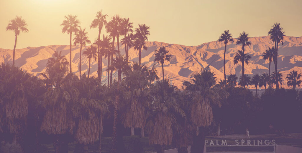 palm trees and mountains